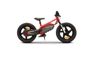Ducati E-Moto Kids