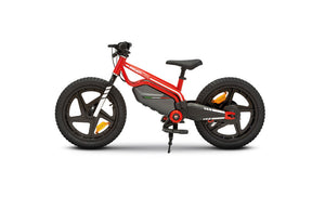 Ducati E-Moto Kids