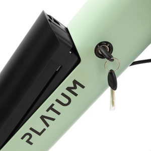 PLATUM VAN