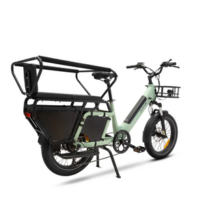 PLATUM VAN
